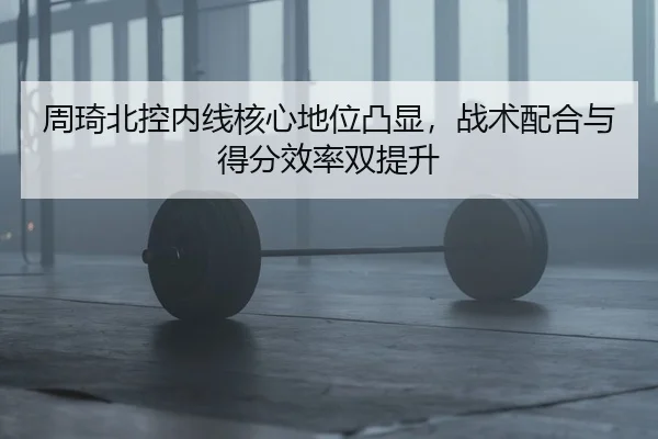 周琦北控内线核心地位凸显，战术配合与得分效率双提升